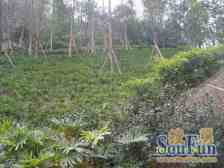 万象城商圈华润业主换房急售五朵金花在旁