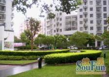 2008年小区,带空中花园,人车分离,朝南带连体大阳台