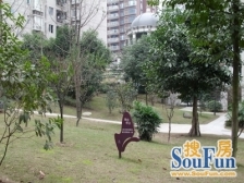 佣金6666元 龙头寺 鲁能星城八街区三房128.5万