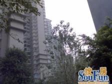 区府 晋愉绿岛云间三房71万