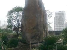 户型方正,朝中庭,采光很好,安静舒适,业主安心卖