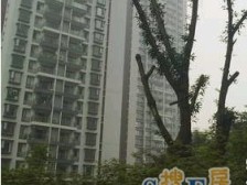 冉家坝三轻轨交汇处、精致一房、