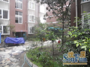 雅南居 2室2厅 西南