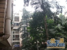 户型方正,采光好 ,楼层好,交通方便