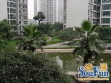 玉豪龙庭 1室1厅 南