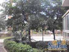 观音桥 鸿恩丽舍四房140万