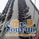 望龙门 正美园二房61万