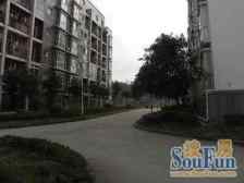 东升彼岸 2室2厅 东南 西南