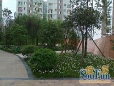 东方之骄 2室2厅 东南