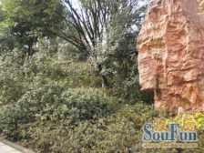 繁华地段,1梯2户小高层 户型通透 精装修