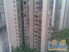 兴茂山水国际 3室2厅 南 西南 东南