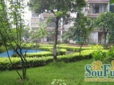 南滨路一线看江,正看来福士和大剧院,精装3房3卫