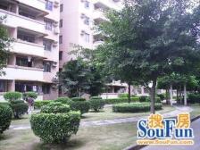 人和花园A区 1室1厅 东南