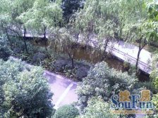 假日滨江花园樱花苑 4室3厅 南 北