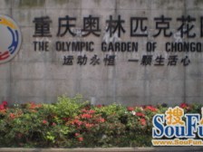 汽博中心 奥林匹克花园四期一房86万