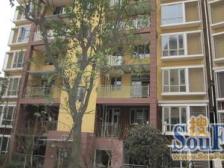 缙云山下出行方便,配套齐全,业主安心卖