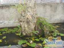 鱼洞 三江街二房28.5万