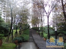 北部新区 龙湖水晶星座一房41万