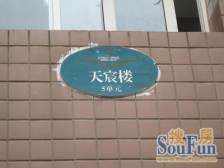 典雅龙海港湾 2室1厅 南 西南