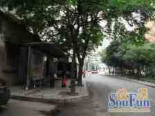 山清水秀,享有自然景观的天然氧吧