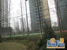 汽博品质小区,配套成熟,业主诚心,小区环境好