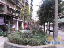 天星桥商圈,小区楼梯房,双地铁,居家安静