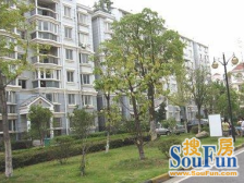 捡漏!捡漏!品质好房推荐,精装好房,小区性价比一套