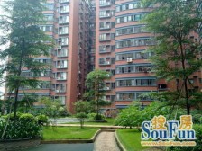 东方广场配套齐全 两房 精装修拎包入住 产权清晰