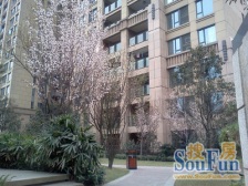 华润二十四城一期 1室1厅 南