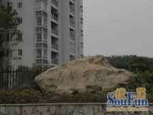 茶园新区 东升彼岸二房45万