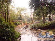 阳光香榭 1室1厅 南