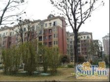 黄家湖以西南天阳光楼梯洋房诚意出售