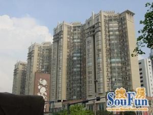 同济广场重新装修过保养好中高层采光好