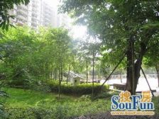 前后大花园 精装修 拎包入住双轻轨