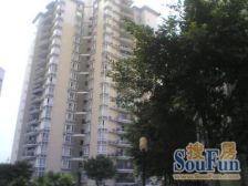 鱼洞 大江滨江花园四房55万