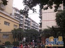 鸳鸯 花朝小区二房32万