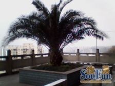 渝北西区 刚需两房 户型优质