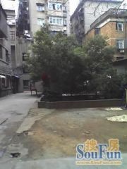 包家巷 南北通透,采光好 视野好,诚心出售