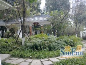 四川省社会科学院3室1厅南