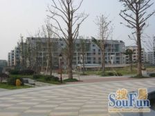 诚心出售 封闭式花园小区 户型通透 采光好