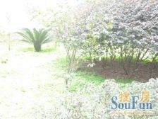 石新路四合院封闭式小区正规一室,