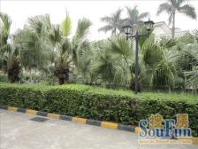 独栋别墅,170多方花园,东南向单边位,三个免费车位