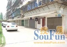 中欧金球公寓 3室2厅 南