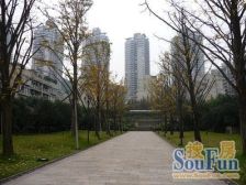 双山晋愉绿岛大三房环境优美价格便宜出方便空气质量好业主急售