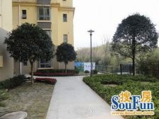 城南新区 新城国际三房100.9万