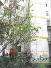 双华精装年2室2厅南
