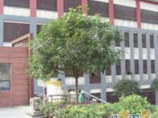 杨公桥 九鼎名都一房32万