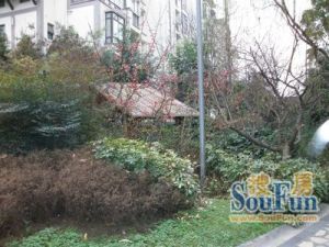 上尚春天4室2厅南