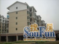 城南花园(昌南经济适用房) 南北通透,采光好 装修好,环镜优美 视野好,诚心出售