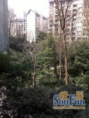 天和国际3室2厅南